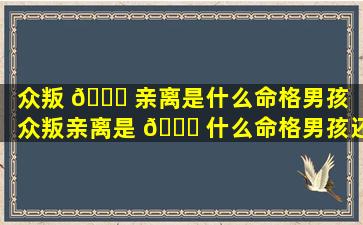 众叛 🐝 亲离是什么命格男孩「众叛亲离是 🐛 什么命格男孩还是女孩」